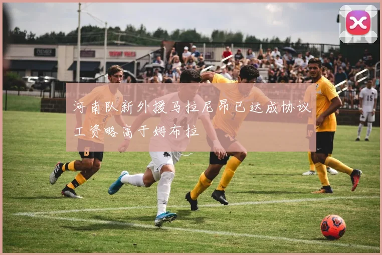 河南队新外援马拉尼昂已达成协议工资略高于姆布拉